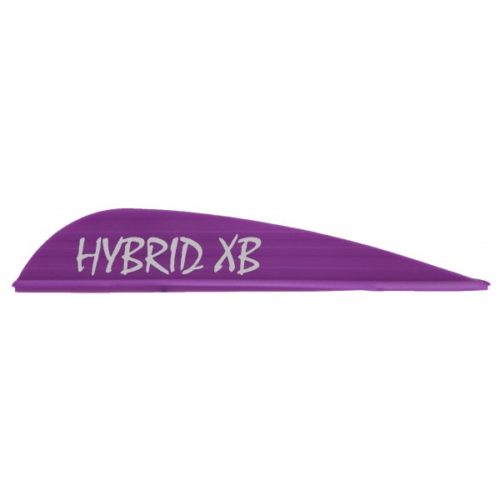 AAE Hybrid XB Arizona Archery Enterprises Inc.